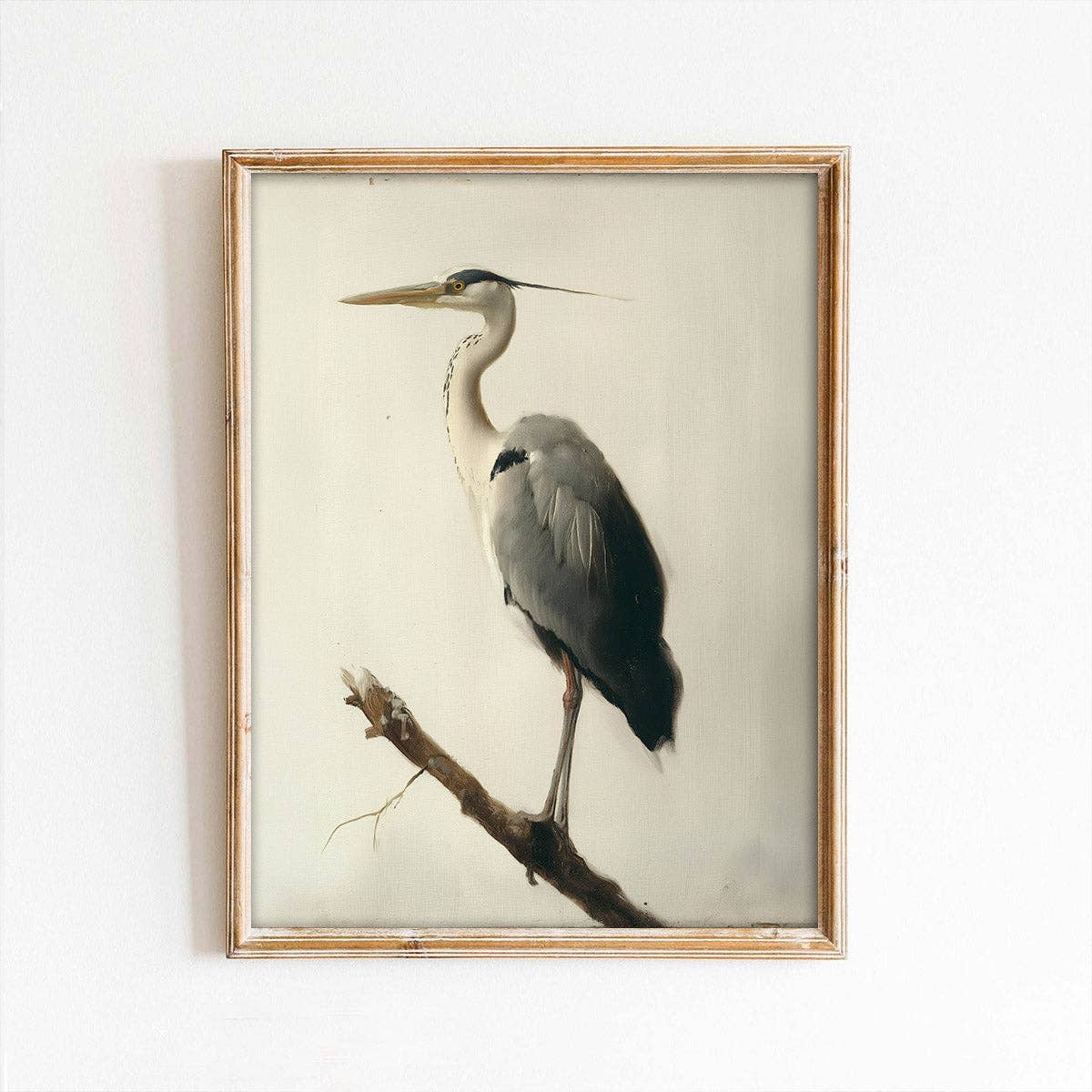 Gray Heron Portrait Art Print: 8x10