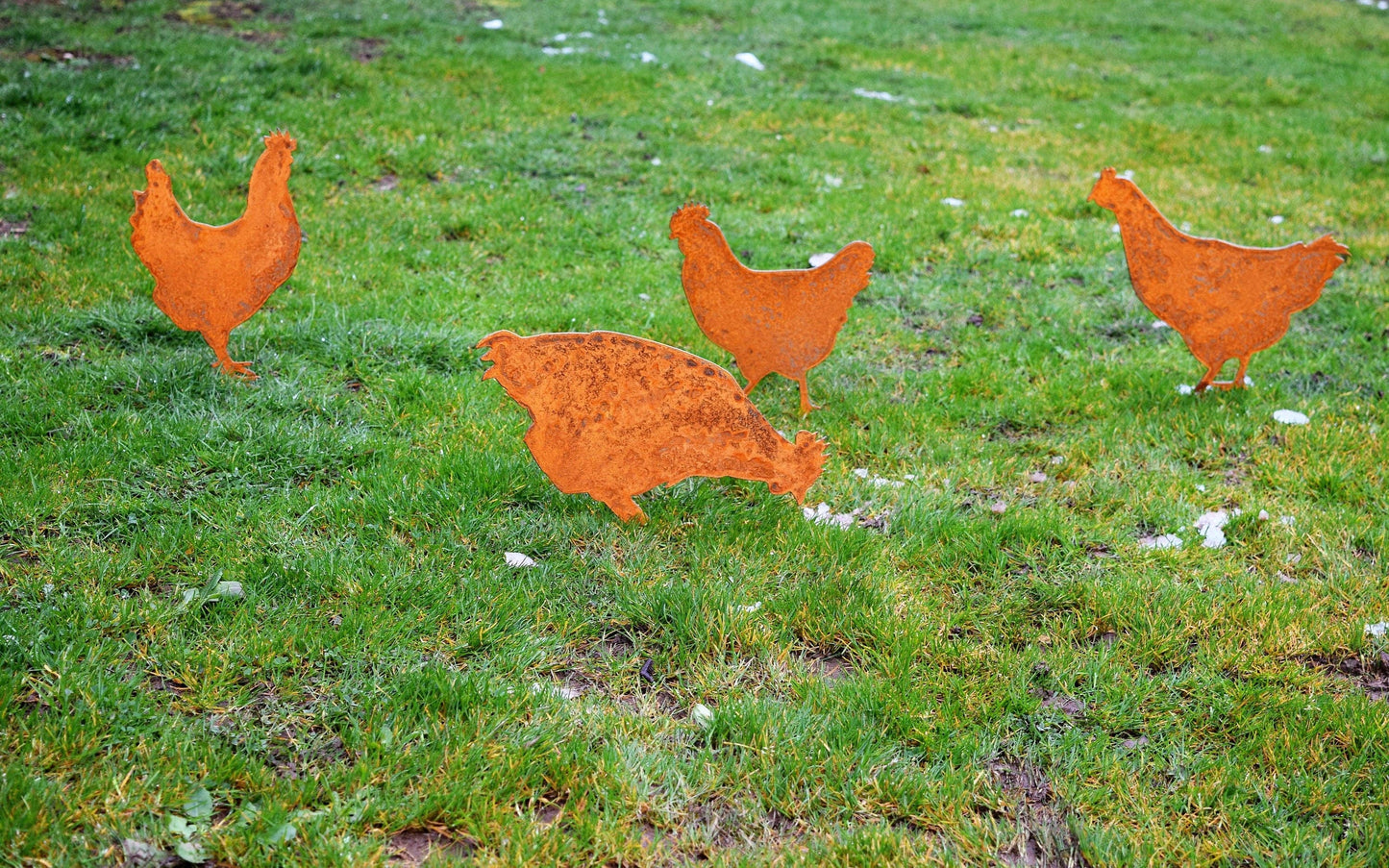 Steel Chicken Yard Stakes: Hen #1
