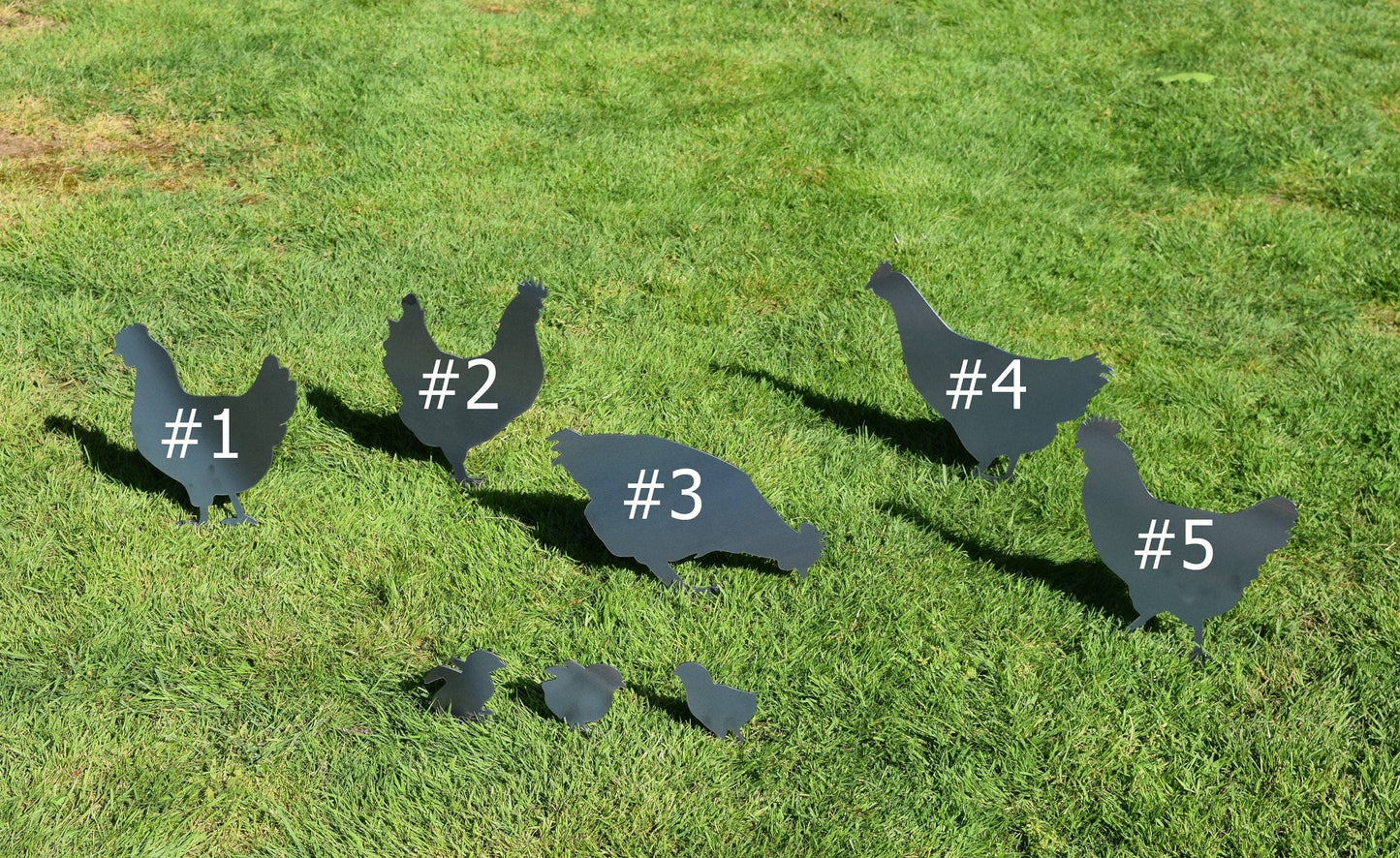 Steel Chicken Yard Stakes: Hen #1