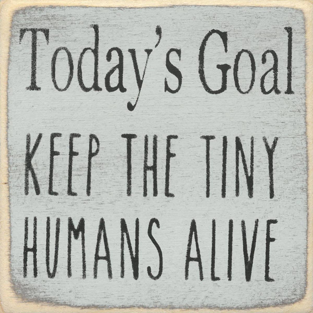 4X4-203 Today's Goal