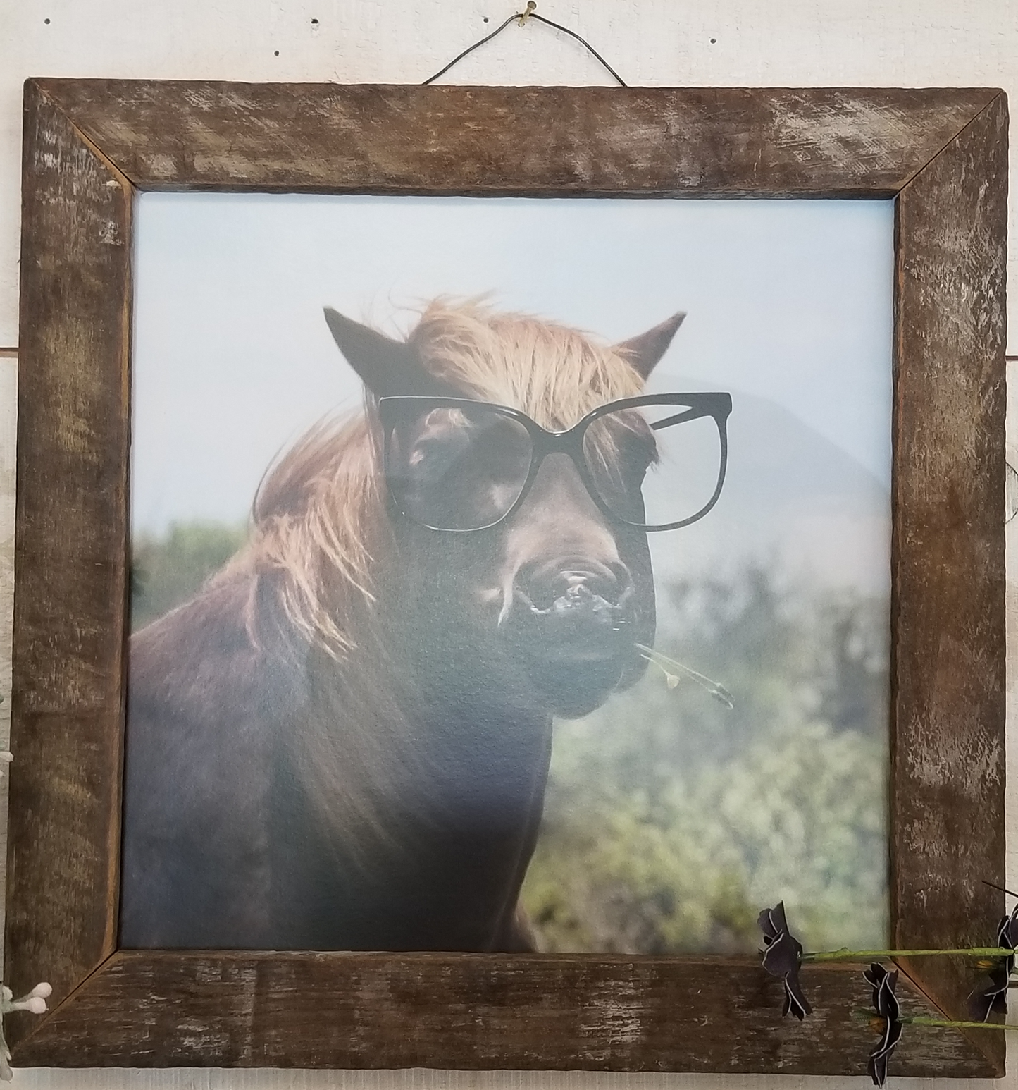 This is a fun print of a horse showing off its buck teeth wearing big black oversized glasses.