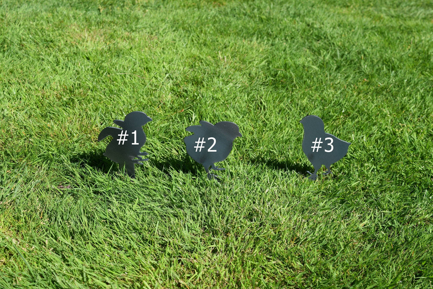 Steel Chicken Yard Stakes: Hen #1