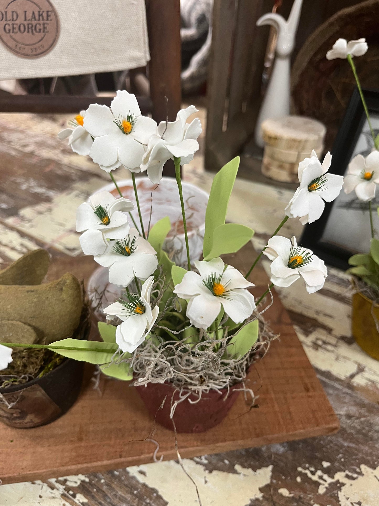 Peat Pot full of flowers