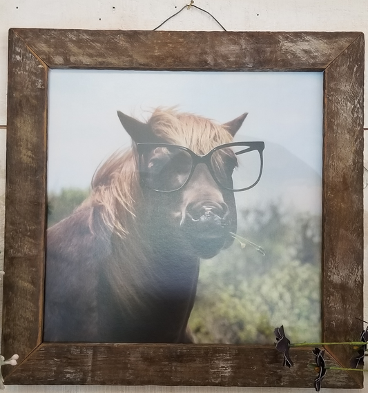 This is a fun print of  a horse showing off its buck teeth wearing big black oversized glasses. 