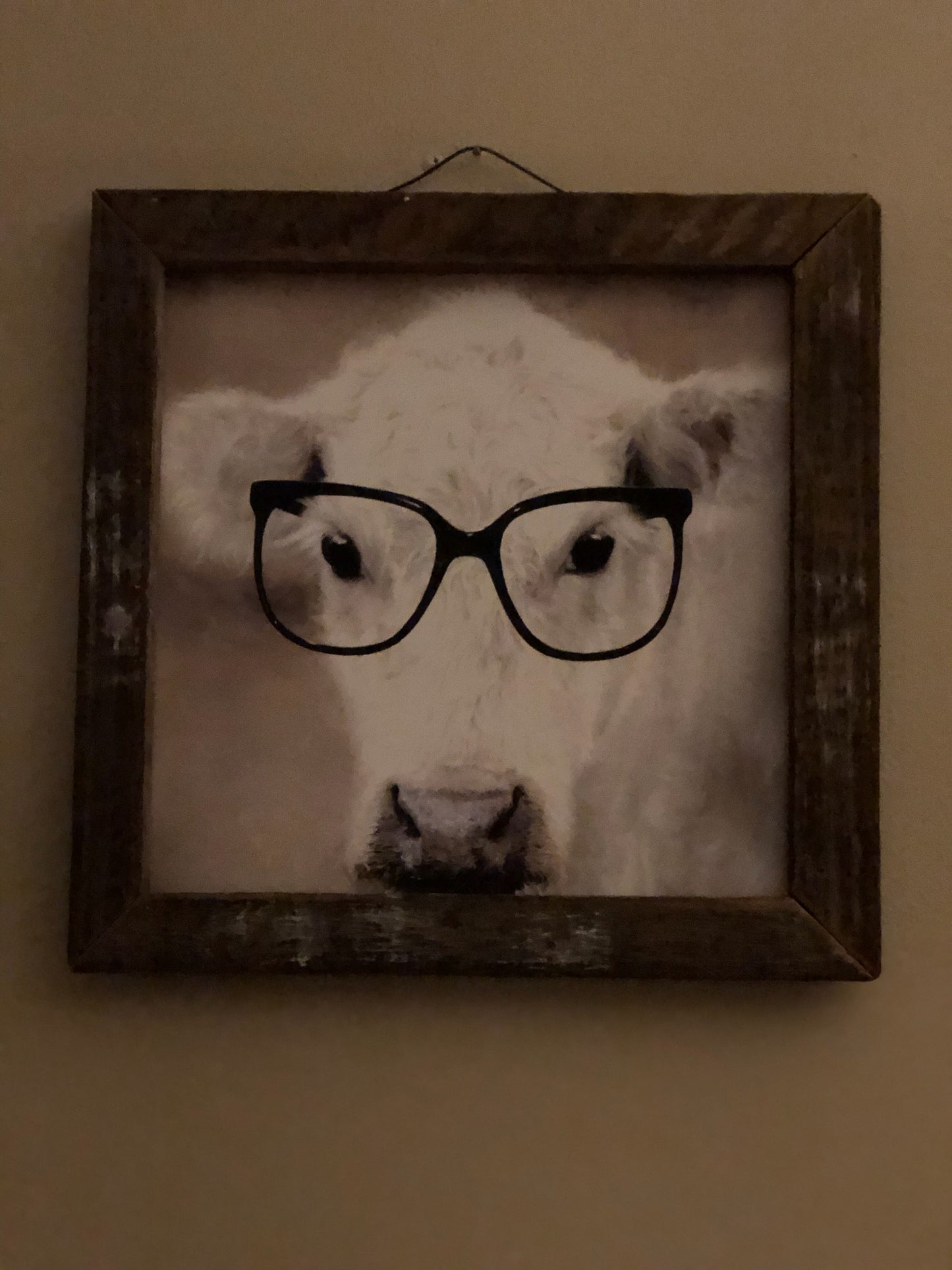  This is a fun print of a milky white cow wearing big black oversized glasses.  finished with tobacco lath frame